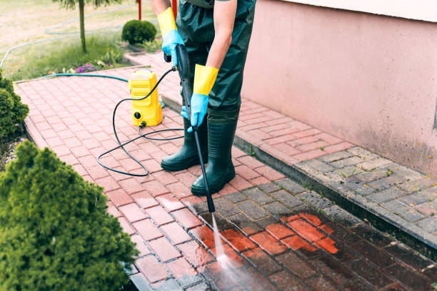 Best Driveway Pressure Washing  in Bell, CA